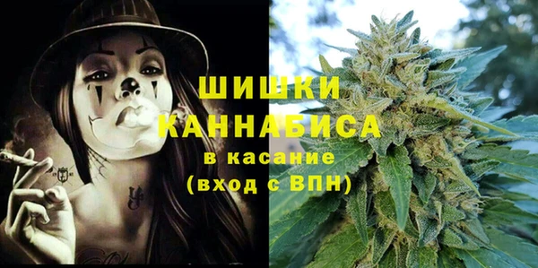 твердый Богданович