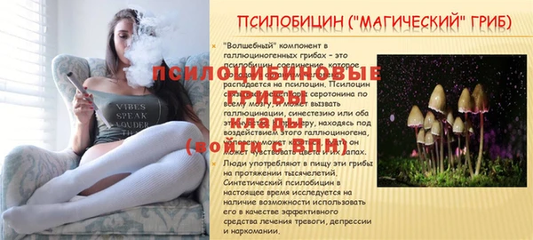крисы Белоозёрский