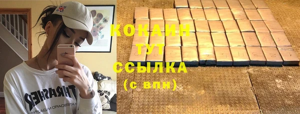стаф Богородицк