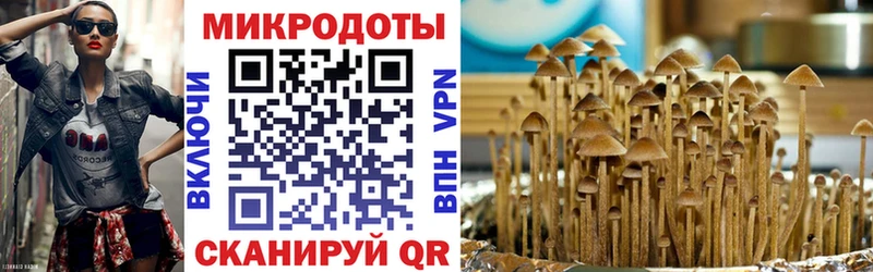 Галлюциногенные грибы Cubensis  omg зеркало  Кораблино  как найти наркотики 